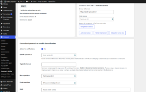 Newsletter automatique Systeme.io WordPress