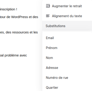 champs personnalisés Systeme.io