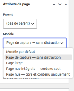 Page sans distraction WordPress